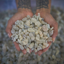 Sacred Frankincense